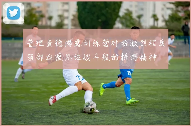 普理查德揭露训练营对抗激烈程度颈部血痕见证战斗般的拼搏精神