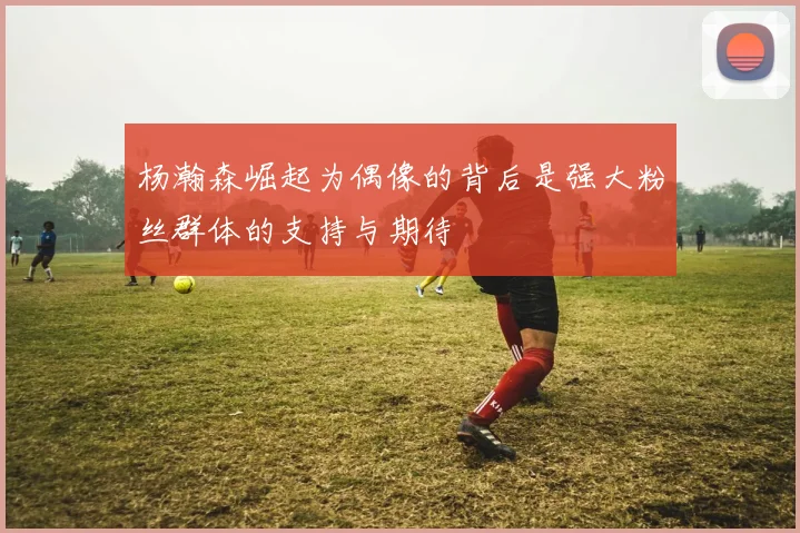 杨瀚森崛起为偶像的背后是强大粉丝群体的支持与期待